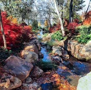 Illustration for article titled 48 Photos Of Autumn Around The World